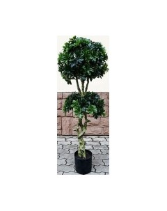 Искусственное растение Дерево Pittisporum Double / FGN BF01699 Forgarden