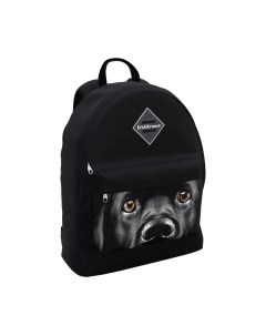 Школьный рюкзак EasyLine 17L Black Dog / 60324 Erich krause