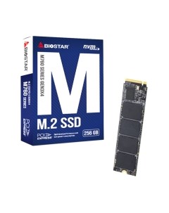 SSD диск Biostar