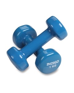 Набор гантелей Indigo sport