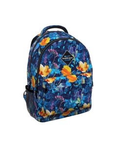 Школьный рюкзак EasyLine 20L Watercolor / 51630 Erich krause