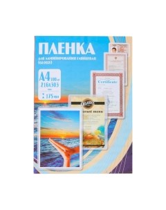 Пленка для ламинирования 216x303 175мик / PLP11523-1 No brand