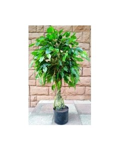 Искусственное растение Дерево Ficus / FGN BF01691 Forgarden