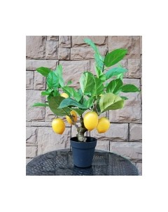 Искусственное растение Дерево Lemon Tree / FGN BF00575 Forgarden