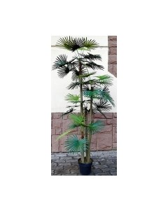 Искусственное растение Дерево Palm Washington Tree / FGN BF00595 Forgarden