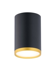 Точечный светильник Technical Light 0050 SGD+SBK Rilon lighting