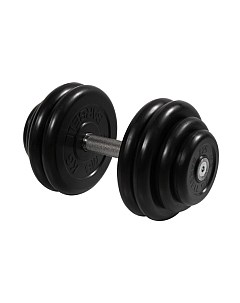 Гантель Профи 28.5кг Mb barbell