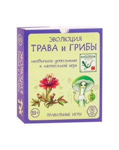 Дополнение к настольной игре Правильные игры