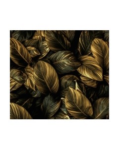 Фотообои листовые Vimala