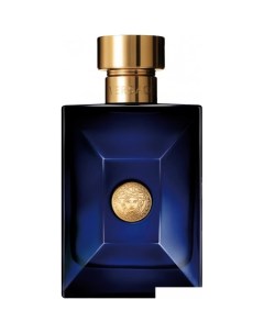 Туалетная вода Pour Homme Dylan Blue EdT (100 мл) Versace