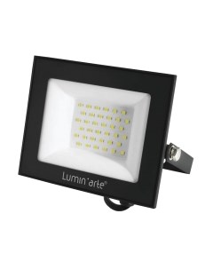 Прожектор LFL-50W/06 Luminarte