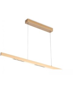 Подвесная люстра FL FL5833 Ambrella light