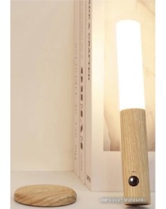 Ночник Woodlight L200 Lucia