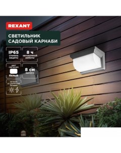 Уличный настенный светильник Карнаби 602-2415 Rexant