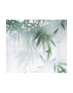Фотообои листовые Citydecor