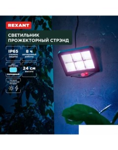 Уличный прожектор Стрэнд 602-2424 Rexant