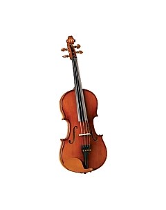 Скрипка Cervini