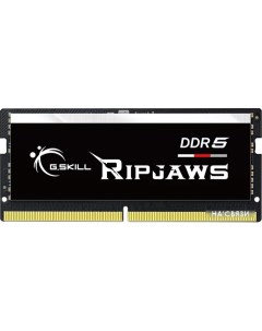 Оперативная память Ripjaws 32ГБ DDR5 SODIMM 4800МГц F5 4800S3838A32GX1 RS G.skill