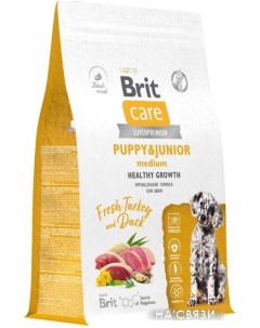 Сухой корм для собак Dog Puppy Junior Medium Healthy Growth с индейкой и уткой 3 кг Brit