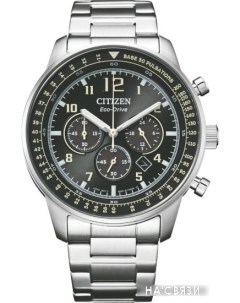 Наручные часы Eco-Drive CA4500-83E Citizen