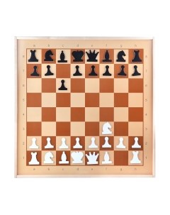 Шахматы Десятое королевство