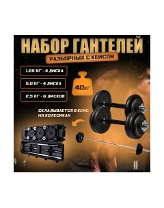 Набор гантелей разборных Sundays fitness