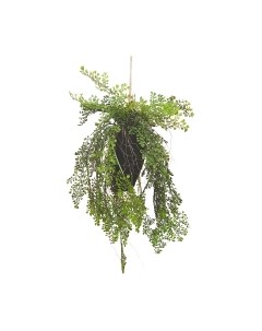 Искусственное растение Monami