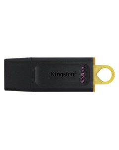 Флеш-накопитель USB Kingston DataTraveler Exodia 128GB DTX/128GB