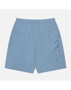 Мужские шорты Brame Swim Carhartt wip