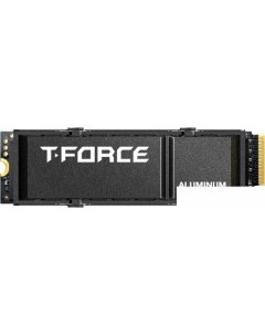 SSD T-Force G70 Pro 2TB TM8FFH002T0C128 Team