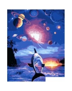 Картина по номерам Космический дельфин ZM 2344 Kolibriki