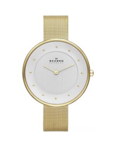 Наручные часы SKW2141 Skagen