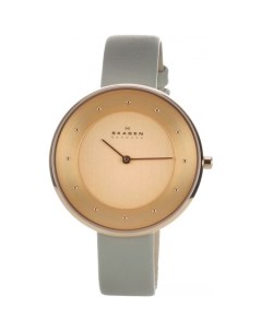 Наручные часы SKW2139 Skagen