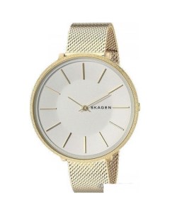 Наручные часы SKW2722 Skagen