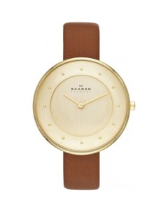 Наручные часы SKW2138 Skagen