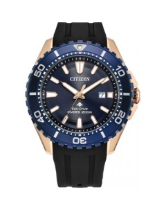 Наручные часы Promaster BN0196 01L Citizen