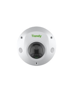 IP-камера TC-C35PS I3/E/Y/M/H/2.8MM/V4.2 Tiandy