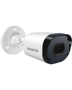 IP-камера FE-IPC-B2-30p Falcon eye