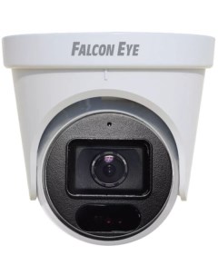 IP-камера FE-ID4-30 Falcon eye