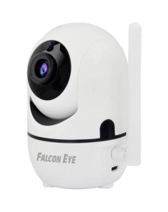 IP камера MinOn Falcon eye