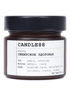 Свеча ароматическая Сибирское здоровье Candle88