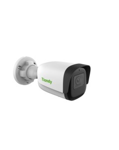 IP-камера TC-C34WS I5W/E/Y/2.8mm/V4.2 Tiandy