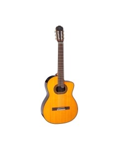 Электроакустическая гитара Takamine