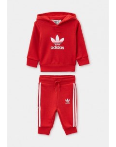 Костюм спортивный Adidas originals