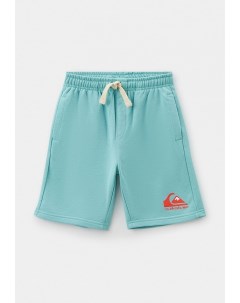 Шорты спортивные Quiksilver