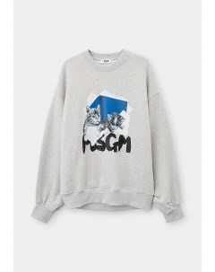 Свитшот Msgm kids