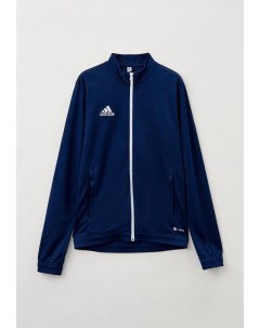 Олимпийка Adidas