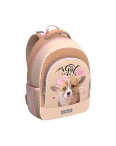 Школьный рюкзак ErgoLine 15L Corgi Puppy / 60094 Erich krause