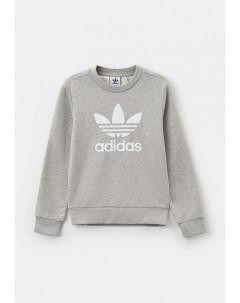 Свитшот Adidas originals