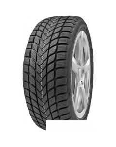 Зимние шины Winter WD6 205 50R17 93H Delinte